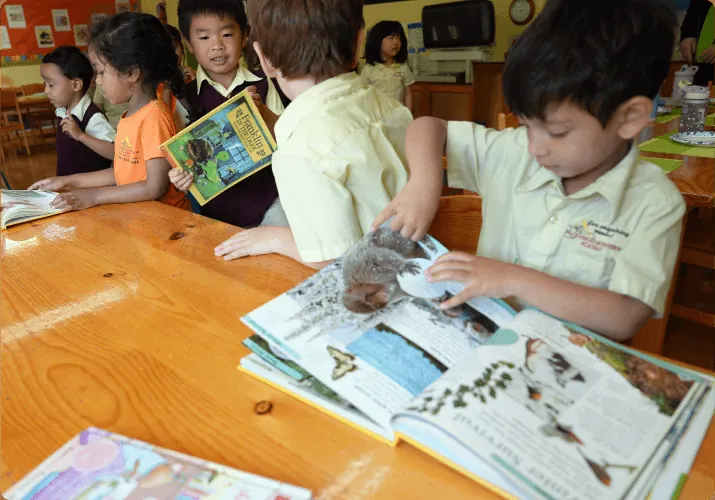 Children learning at Palos Verdes Montessori Academy, Palos Verdes Peninsula – photo 39