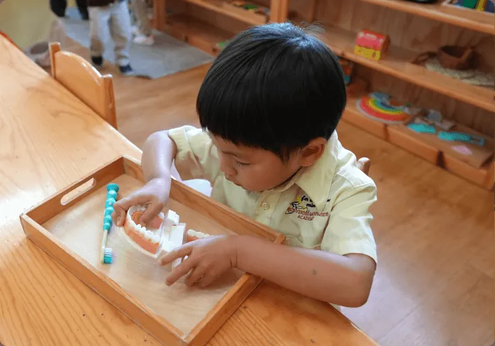 Children learning at Palos Verdes Montessori Academy, Palos Verdes Peninsula – photo 10
